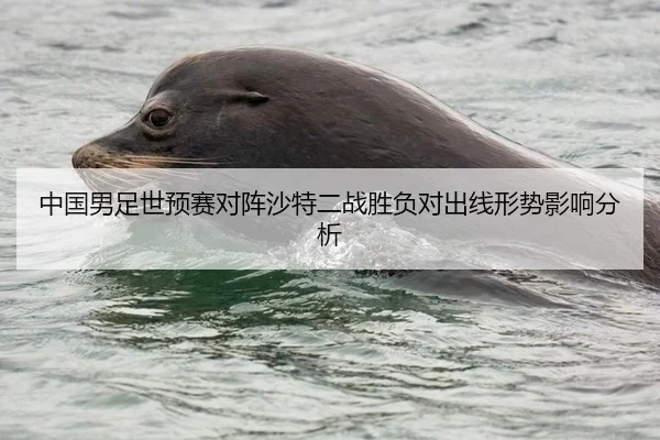 中国男足世预赛对阵沙特二战胜负对出线形势影响分析